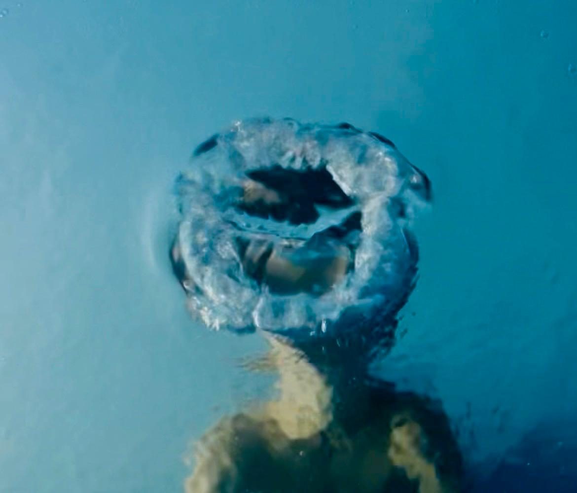 Die große Wasserring-Challenge im Südosten Berlins