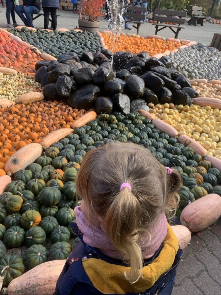 Herbst im August? Wie steht die Chance auf Sommer-Comeback